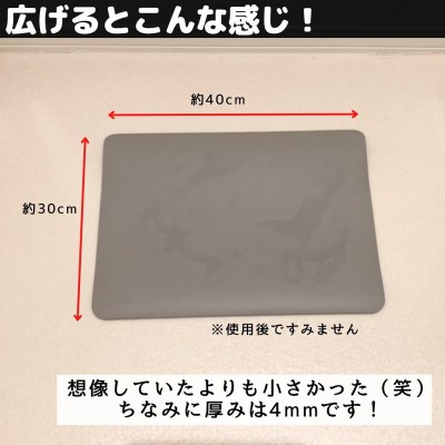 セール 100円ショップ 珪藻土 バスマット