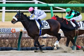 �y���R2R�z�����[���R��A���N�V�A�X���_�[�g�ւ��ŏ�����