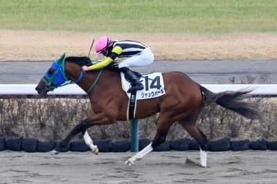 実録・競輪放浪記　ジャンが鳴る！ 実録・競輪放浪記 ジャンが鳴る！ 実録・競輪放浪記 ジャンが