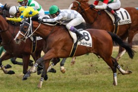 �y���s12R�z���L �S�[���h�T�[�x�����������悤�ȍ����؂�V