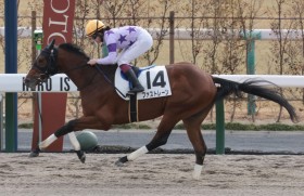 �y�V�n/���s4R�z�������ނ����N�̏������c�t�@�X�g���[���ŐV�nV�c�A����2��