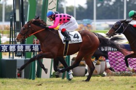 �y�V�n/���s5R�z�ǌ��p�V�t�B�b�N���[�g���f�r���[V�c��̓t�@���f�B�[�i