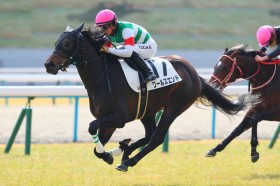 �y�V�n/���s5R�z���[���Y�G���h���f�r���[V�c�L�^�T���u���b�N�����2��