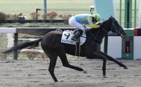 �y�V�n/����4R�z11�Ԑl�C�f���}���@���i���f�r���[V�Ŕg���c�A�[���g���X�g�͒����ŗ��n