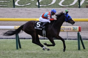 �y����S�z�R���N�V�F�����Ƒ���3�n�g��V�c�f�R�l�C�J�[�y���^���A��11���s��