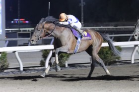 �y���m�E����ܗ[���܁z���_�X�I�y�����f�B���n�i��V�c�f�R�l�C���[�h�u���X�𗽂�