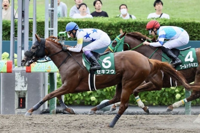 武豊騎手 今週の騎乗馬…セキフウでフェブラリーS参戦 | ORICON NEWS