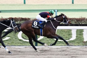 �y����S�z�f�R�l�C�N�[���~���{�[���I�[�v������c�����[���R���3�A��