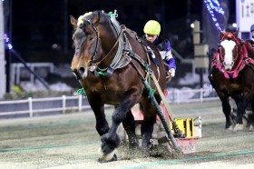 �y�΂񂦂��E�`�����s�I��C�z�A�I�m�u���b�N��2�x�ڂ̐��e�c���c�R��u�L���ȏ����Ŋ��҂��镔���������v