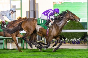 �y���b�h�V�[�^�[�tHC�z���{���͒��������c���[�A�R��A���^���[�I�u�����h���������؂�