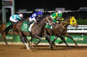 �y�T�E�W�J�b�v�z�匃��̃S�[���O�I�E�V���o�e�\�[���͐ɂ���2���c�Z�j���[���o�X�J�h�[���������؂�