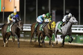 �y�T�E�W�J�b�v�z�����[���u�Ō�͋ꂵ���Ȃ����v�f���}�\�g�K�P�͌�����5��