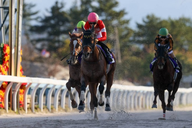 レッドルゼルの競走馬登録抹消…種牡馬入り | ORICON NEWS