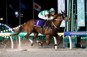 �y�_�C�I���C�g�L�O�z�����U�o�G�t�R��A�Z���t�B�b�N�R�[�����N�₩�ȍ����؂�V