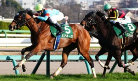 �y�t�����[C�z�~�A�l�[�������킩�甲���o���c2���̓z�[�G���[�g