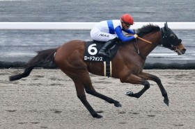 �y�鎭���ʁz��c���낪1��6���c���[�h�t�H���XV�ŏt�̒����J�Â���߂�����