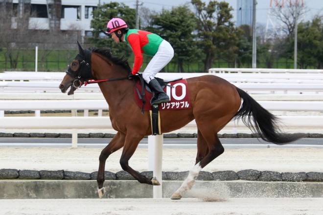競馬 ロードバクシン園田ダービー（現兵庫優駿）優勝実使用ゼッケン 小牧太騎手 競馬 ロードバクシン園田ダービー（現兵庫優駿）優勝実使用