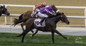 �y�h�o�C�S�[���h�J�b�v�z���{���͒��O�c���[�A�R��A�^���[�I�u�����h����V