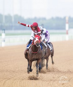 �yUAE�_�[�r�[�z���c�W�I�[�i�[���L�E�t�H�[�G�o�[�����O��������5�A��