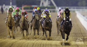 �y�h�o�C�S�[���f���V���q�[���z�n�������C�O�i�C�^�[�͌�����5��