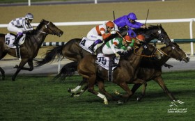 �y�h�o�C�^�[�t�z���{�Ő撅�̓i�~���[���c���L�h�E�f���[�X�͏o�x��5������