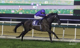 �y�h�o�C�V�[�}�N���V�b�N�z���x���X���}���X���N�₩�ɔ����o���c���o�e�B�A�C�����h��3�Ԏ����