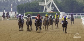 �yUAE�_�[�r�[�z���i���t�u�͂��o���Ă��ꂽ�v�o�����h�[����6���s��