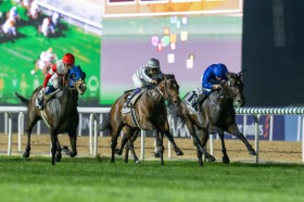 �y�h�o�C�^�[�t�z�����C���u�����n�����������v�_�m���x���[�K��3���܂�