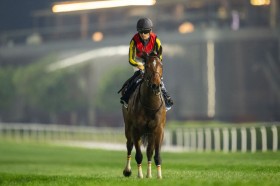 �y�h�o�C�V�[�}�N���V�b�N�z�����c�t�u�\����Ȃ��C�����ł��v���o�e�B�A�C�����h��3���s��