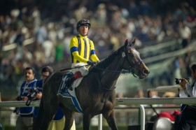 �y�h�o�C�V�[�}�N���V�b�N�z��ŋR��f�b�g�[���u�E�ɍs���������Ă����v�X�^�[�Y�I���A�[�X�͂܂�����8��