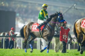 �y�h�o�C���[���h�J�b�v�z���D��u�n�͊撣���Ă���܂����v�E�B���\���e�\�[���͌�����4��