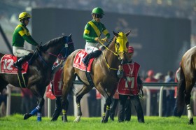 �y�h�o�C���[���h�J�b�v�z���؎t�u1�������n�������v�A�e�Ȃ炸2��