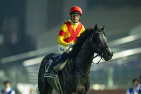 �y�h�o�C�V�[�}�N���V�b�N�z�����C���u�o�e���ɗǂ��r���g���Ă��ꂽ�v�W���X�e�B���p���X��4��