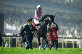 �y�h�o�C���[���h�J�b�v�z�����U�o�G�t�u�ǂ���������Ă��ꂽ�v�h�D���G���[�f�͌�����5��