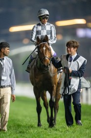 �y�h�o�C�^�[�t�z�F���t�u�s���S�R�āv�h�E�f���[�X�͏����s�ǂ�5��