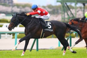 �y���-�n���u���NC�z�f�B�[�v�Y�� ���b�h�o���G���e���I�[�v��������