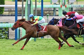 �y�j���[�W�[�����hT�z�G�R���u���[�����N�₩�ȍ����؂�c�{���h�K�[����2��