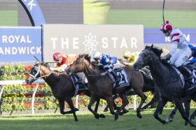 �y���h���J�X�^�[�}�C���z���{����Q�킵���I�I�o���u���}�C��13���s�ށc���������̂̓Z���X�e�B�A�����W�F���h