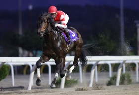 �y����E�X�v�����OC�z�t�W���[�W�[�����卷�����Ŗ�����6�A���c����E�u�L�ё�������߂�v