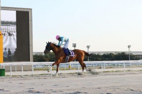 �y���É��E���C���ԏ܁z10�Δn�A�i�U�[�g�D���[�X�����ڐ擪���牟���؂�c�����u���C�Ői�߂܂����v