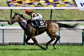 �y�Ⴄ�����܁z�Ð�ޕ�R��A���Y�g�L�L�������؂�V�c����������A��