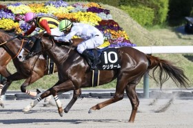 �y���W�I�����܁z�N���_�[���������N�₩�ȍ����؂�V