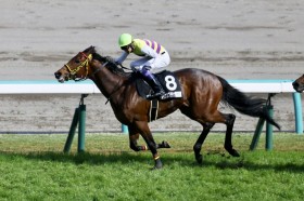 �y�h�D�������eC�z���L�A�ό����݂̓����ŃZ�C�E���v���`�i�������ɓ����c��t���l�X�ɏ�����