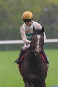 �y�}�C���[�YC�z�c��u�������n������Ă�����悤�撣�肽���v�\�E�����b�V����2�N�Ԃ�V