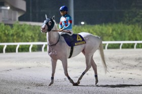 �y�H�c�u�z�{�c�t�u�v���b�V���[�������������ĂĂ悩�����v�A�}���e�r�A���R��V