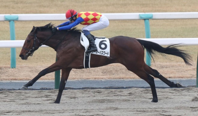 【ケンタッキーダービー】テーオーパスワードがチャーチルダウンズ競馬場に到着 | ORICON NEWS 【ケンタッキーダービー】... 