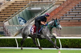 �y�`�F�A�}���Y�X�v�����g�v���C�Y�z���ځu���̔n�̑��肪�o���Ȃ������v�}�b�h�N�[���͍ŉ��ʔs��