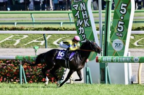 �yNHK�}�C��C�z�W�����^���}���^����3�΃}�C�����ɋP��