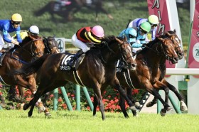 �y���CS�z�v���T�[�W�����t�g2�N3�����Ԃ菟��