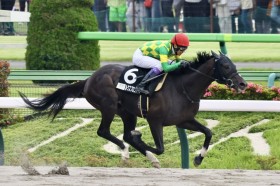 �y�G�A�O���[��C�z���L���N�X�t�����e�B�A������